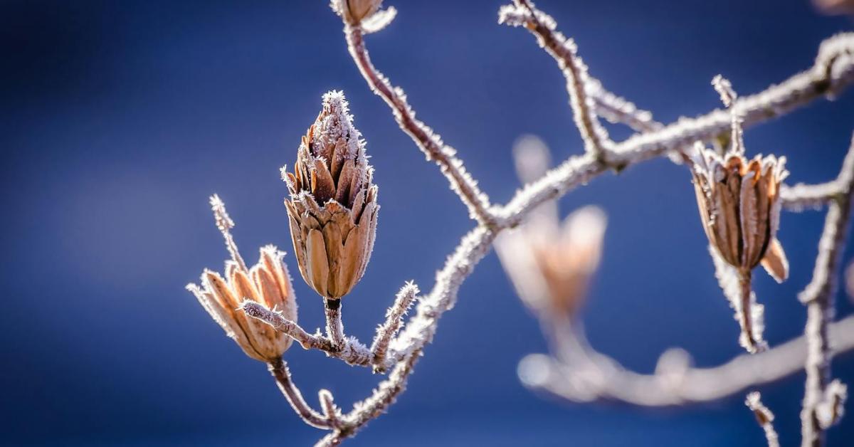 Időjárás: maradnak a kemény fagyok Időjárás: maradnak a kemény fagyok