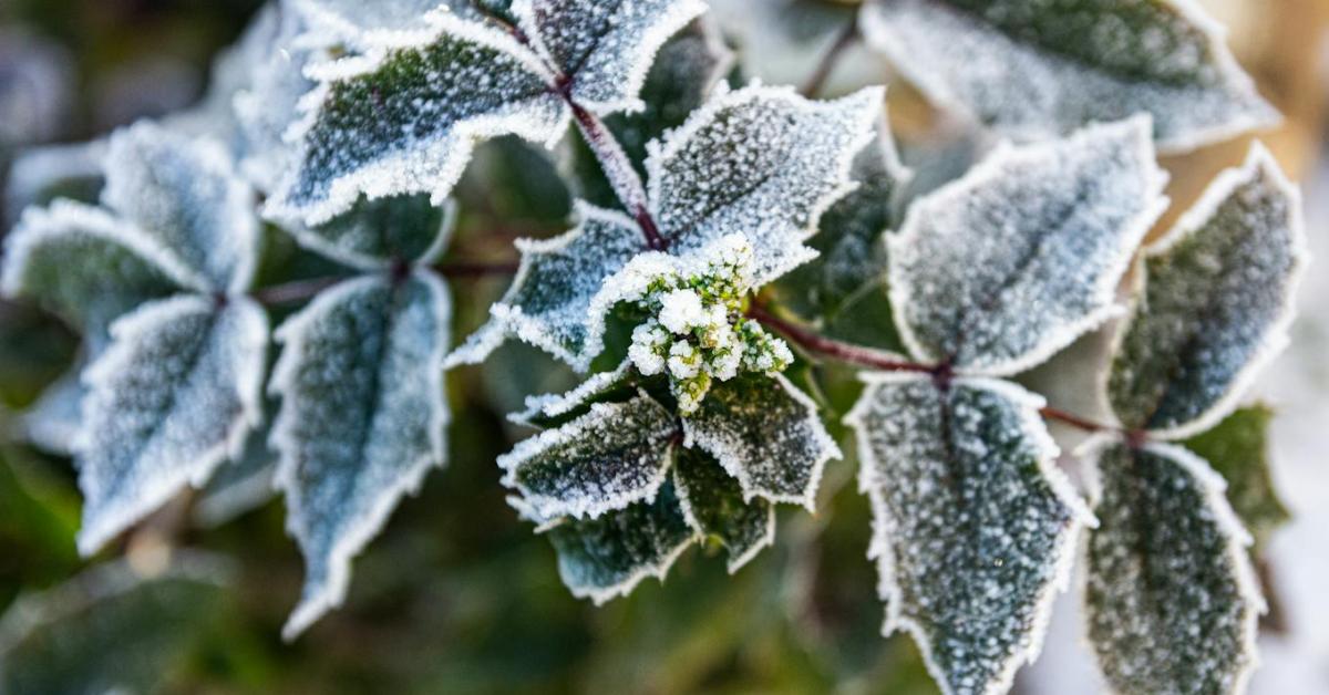 3 napos időjárás-előrejelzés: újabb frontrendszer a láthatáron 3 napos időjárás-előrejelzés: újabb frontrendszer a láthatáron