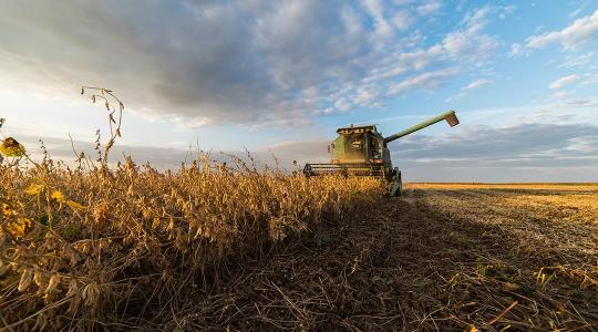 Az agrárvállalkozások már eltervezték, mire költik az EU-s pályázati forrásokat