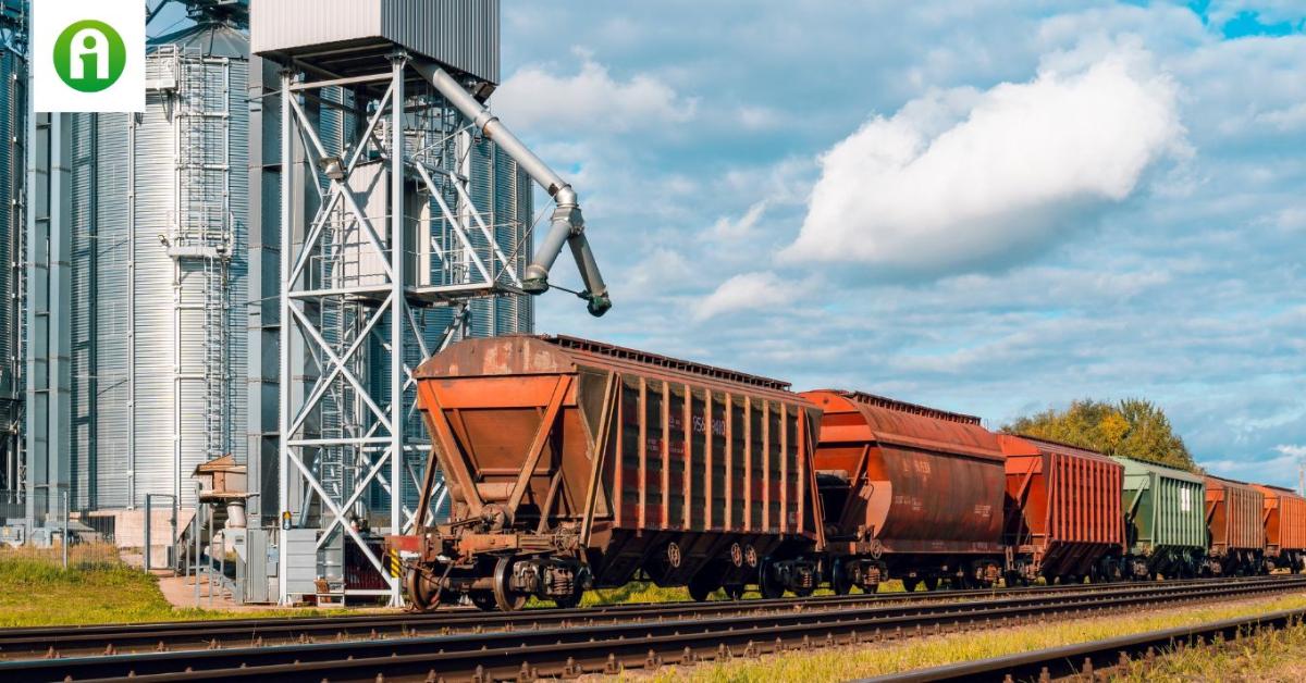 Az EU bekeményít az orosz gabonával, kukoricával és napraforgóval szemben Az EU bekeményít az orosz gabonával, kukoricával és napraforgóval szemben