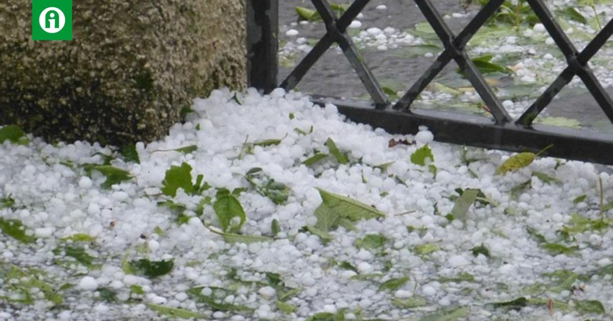 Mit kell tudni a mezőgazdasági károk bejelentéséről? Mit kell tudni a mezőgazdasági károk bejelentéséről?