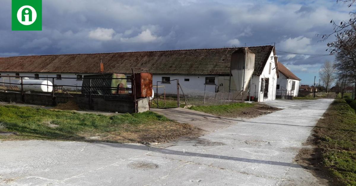 A hét hirdetése: baromfitelep 640 millióért A hét hirdetése: baromfitelep 640 millióért