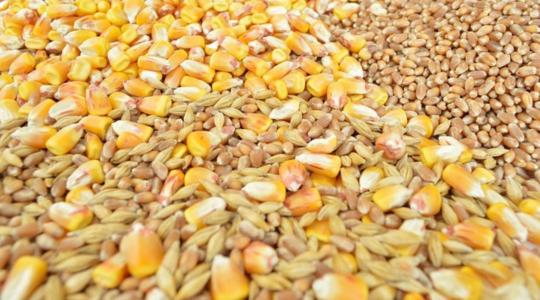 Agrárminisztérium: Brüsszelnek haladéktalanul tennie kell az európai gazdák védelme érdekében