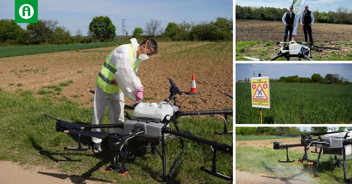 Növényimmunizálás volt a MATE tangazdaságában