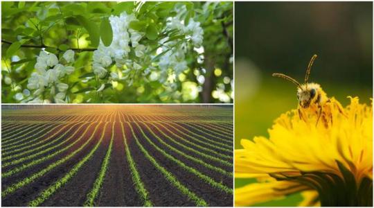 Mitől függ a magyar agrárium sorsa, és mire kell most figyelni a gazdáknak?