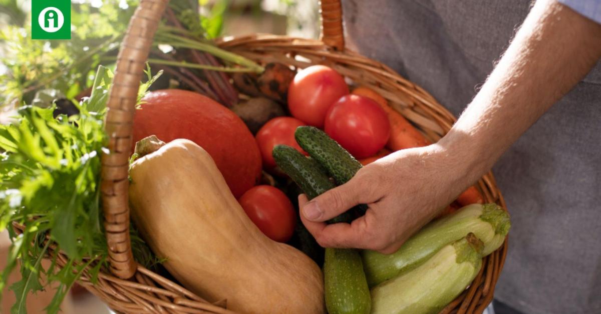Mindenki jól jár: a termelő biztos piachoz, a fogyasztó friss, hazai termékekhez juthat hozzá