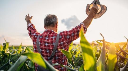 Ez még gondokat okozhat: Sok az idős és kevés a nő a hazai agráriumban