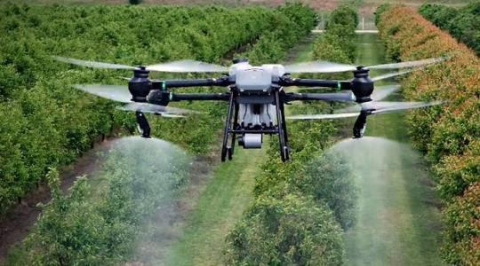 A DJI Agras 50 permetező drónt gyümölcsösben is kipróbáltuk!
