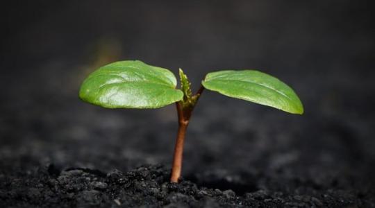 Regeneratív ökológiai gazdálkodás – Te is támogathatod az ÖMKI kezdeményezését!