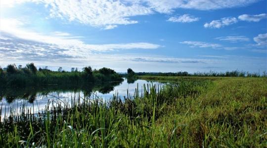 Tartsuk a vizet a tájban! – lezárult a NAK felmérése