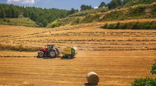 Megszületett az EU Tanács végleges döntése az EU közös agrárpolitikájának felülvizsgálatáról