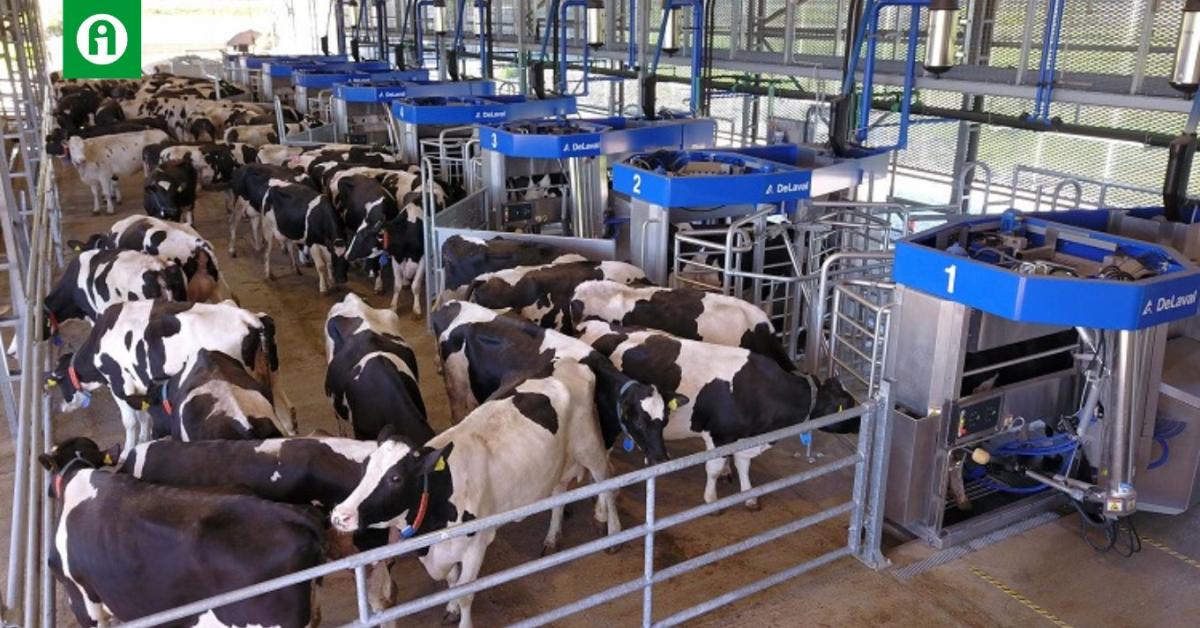 Robotfejés másképp: VMS™ Batch Milking Robotfejés másképp: VMS™ Batch Milking