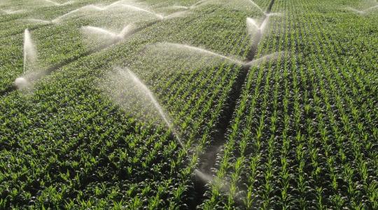 Erre költötte az Agrárminisztérium az EU-s pénzt