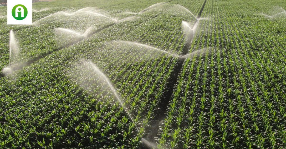 Erre költötte az Agrárminisztérium az EU-s pénzt Erre költötte az Agrárminisztérium az EU-s pénzt