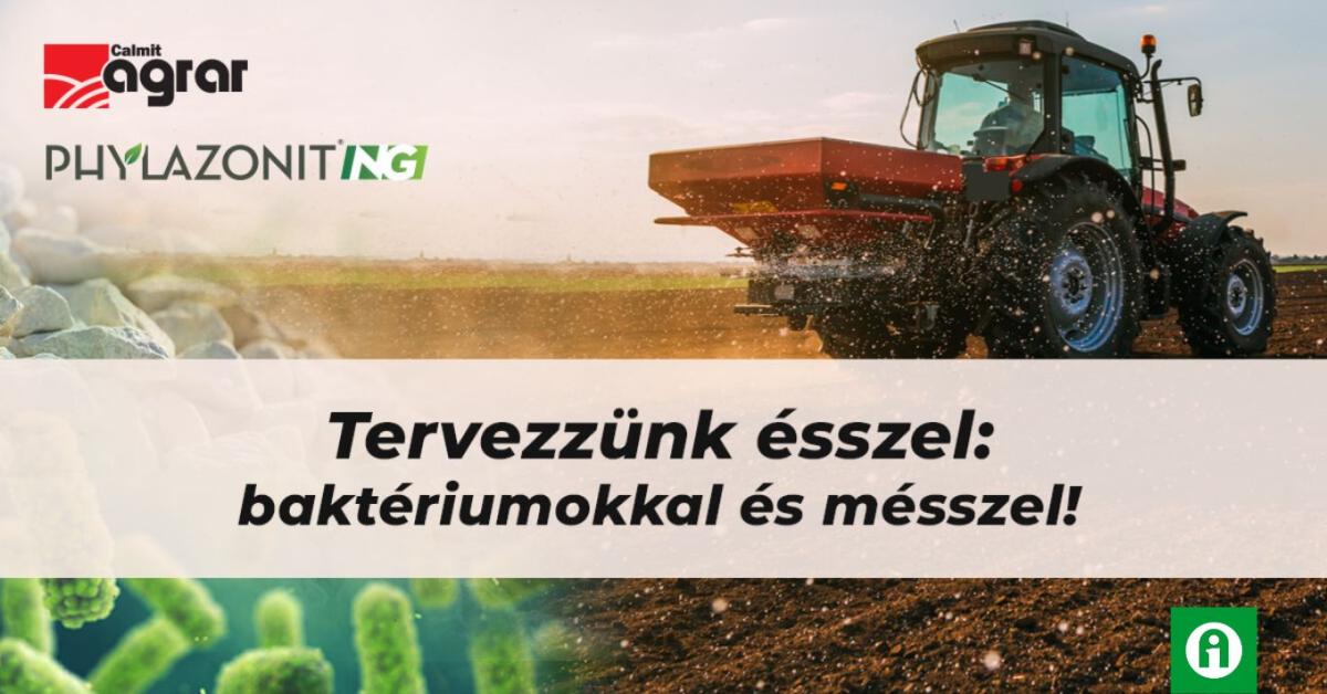 Tervezzünk ésszel: baktériumokkal és mésszel! 