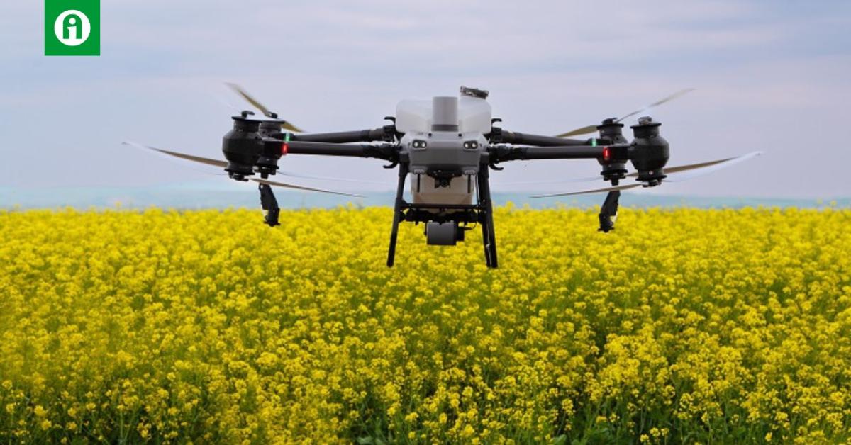 Generációváltás a drónos növényvédelemben – DJI Agras T25 és T50 