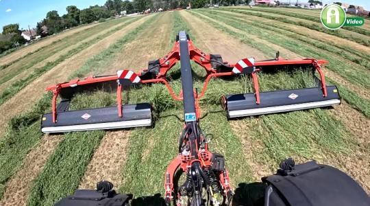 Pirosat a zöldre, avagy bánj jól a lucernával!