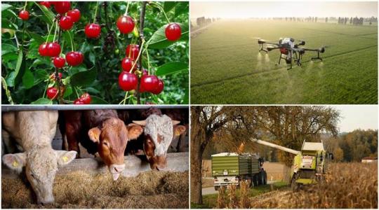 Aktuális kilátások, várakozások és aggodalmak az agráriumban