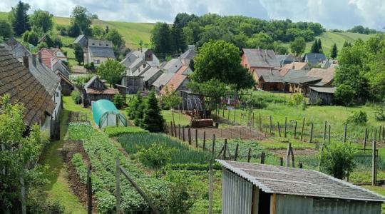 Levelek a kertből: kezdünk besokallni az esőtől, küzdünk a gyommal és a csigákkal