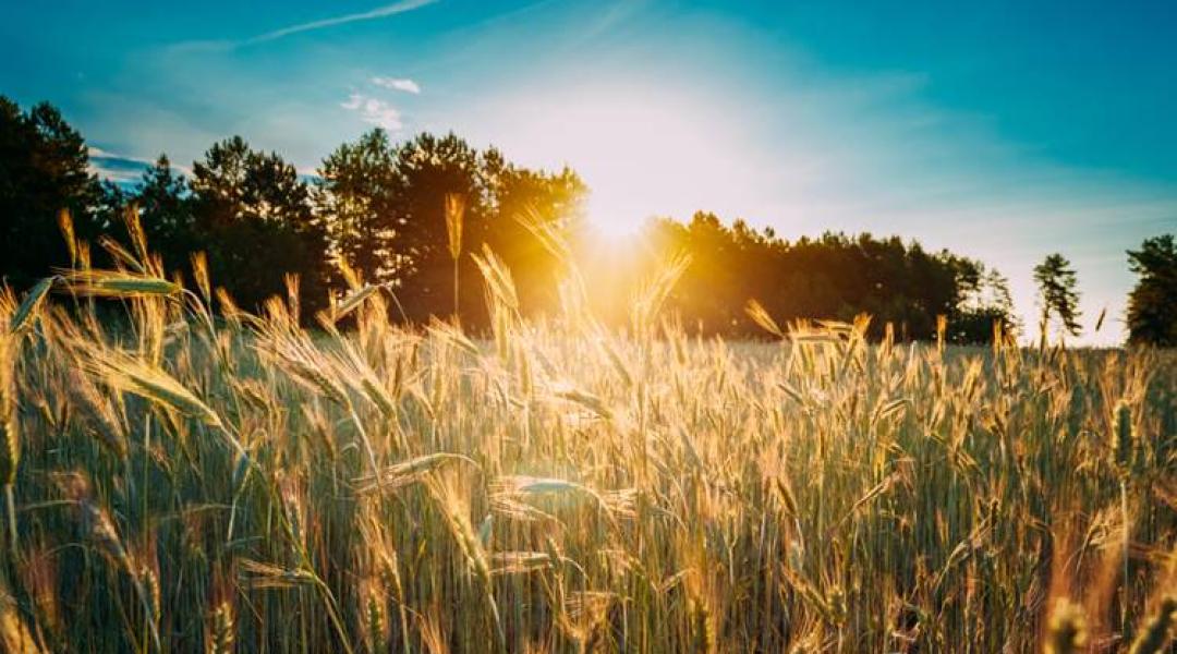 30 napos időjárás-előrejelzés: Aszályra vagy kiadós esőkre számítsunk júniusban?