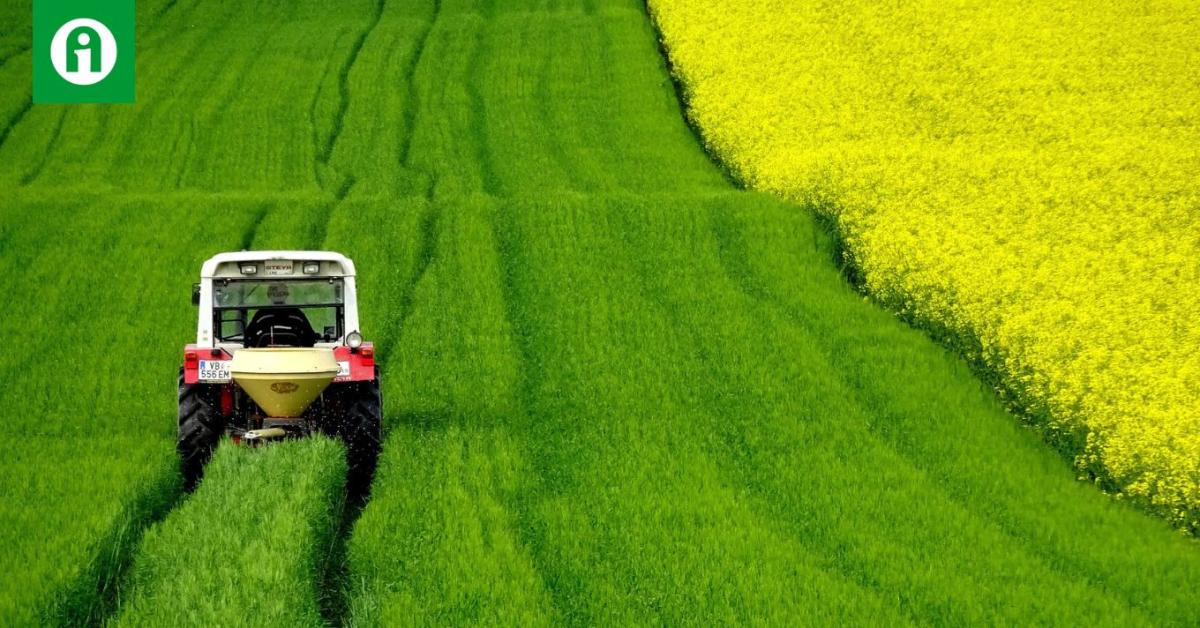 Ha a magyar termelők túl akarnak élni, minőségi búzát kell termelniük