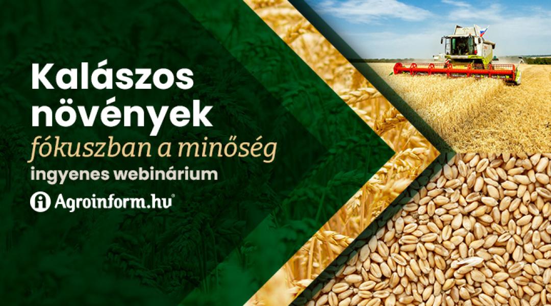 Kalászos növények – fókuszban a minőség Agroinform webinárium