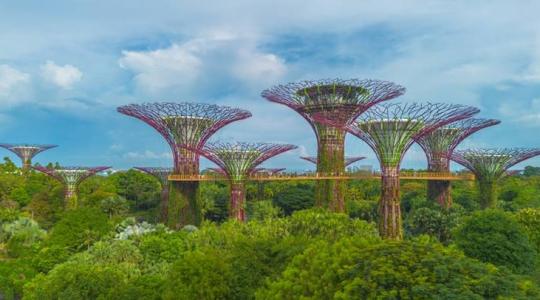 A mesterséges fák jelenthetik a megoldást az elsivatagosodásra és az aszályra