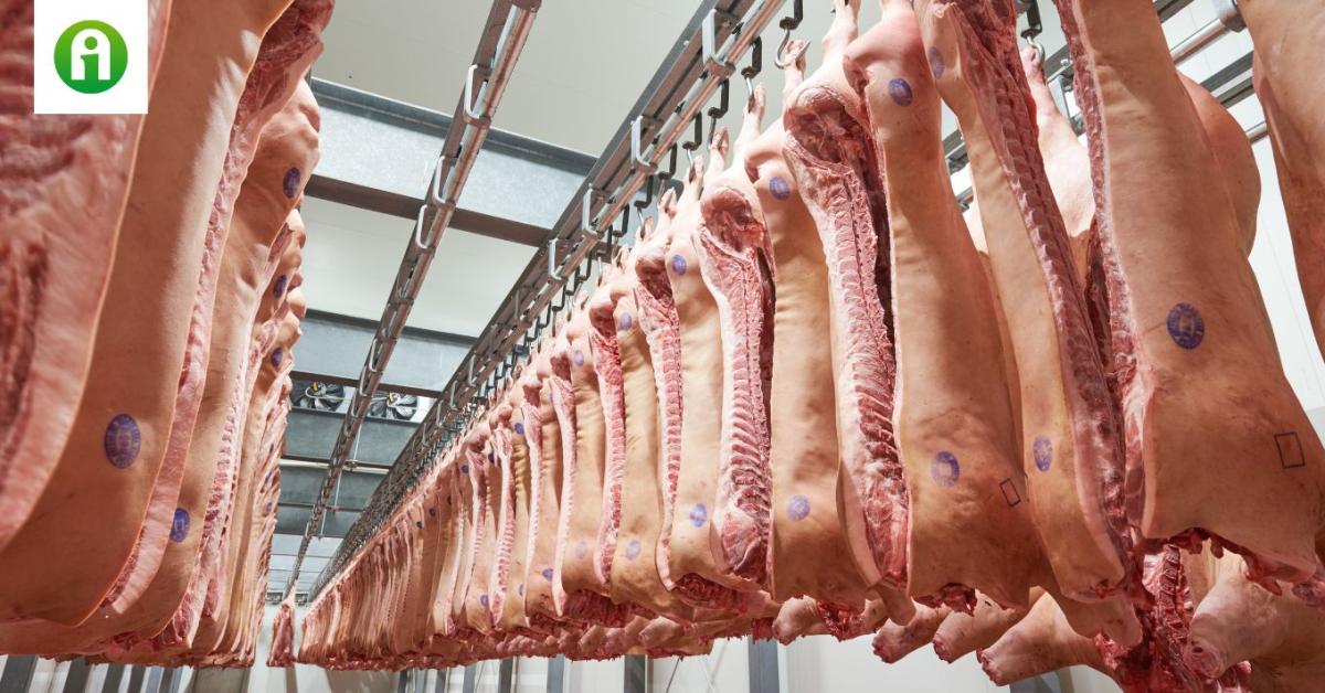 Növekedett a sertésvágások száma, de baromfiból is sok került a vágóhídra
