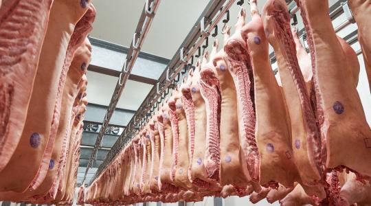 Növekedett a sertésvágások száma, de baromfiból is sok került a vágóhídra