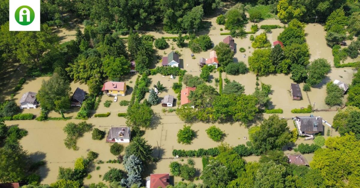 Tetőzik a Duna Nagybajcsnál és az árhullám hamarosan eléri Budapestet is +KÉPEK