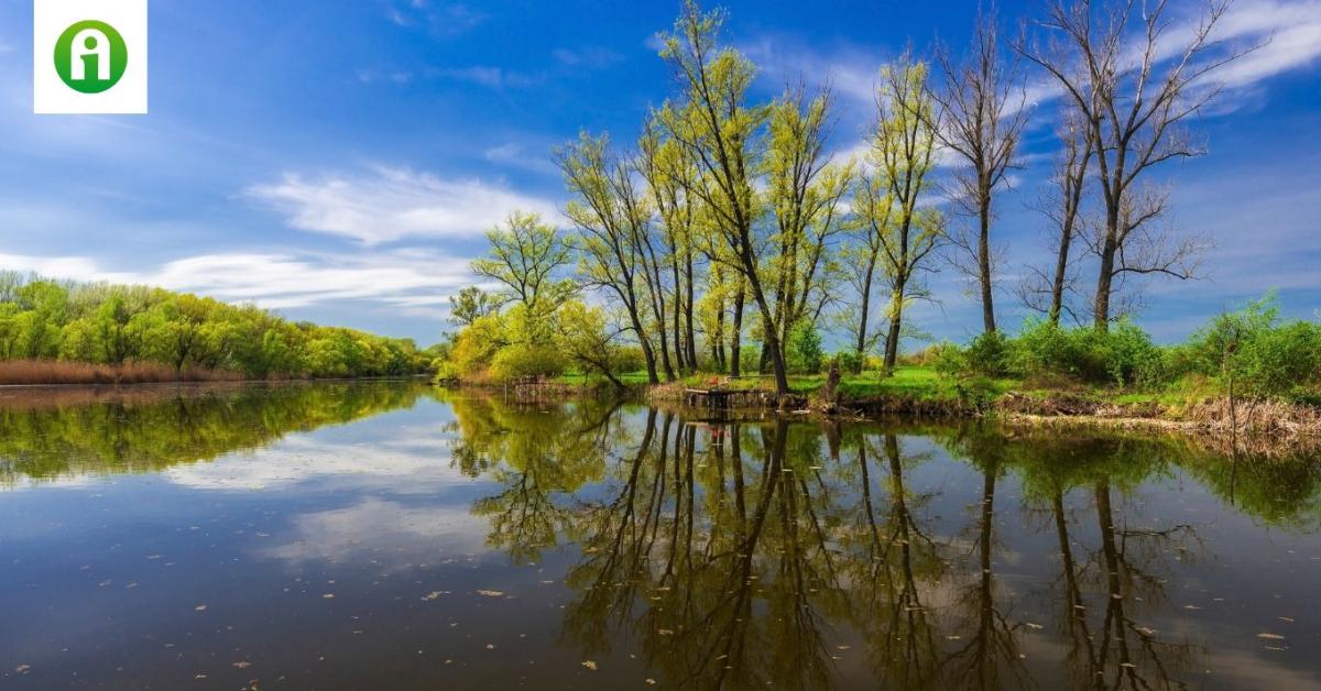 A valaha mért legmagasabb vízállással tetőzhet a Rába. Mutatjuk, hol A valaha mért legmagasabb vízállással tetőzhet a Rába. Mutatjuk, hol