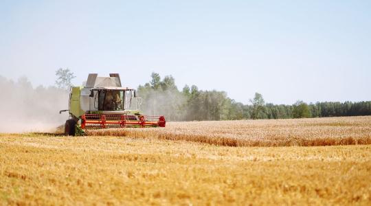 Szemléletváltás szükséges – újra érték a minőség