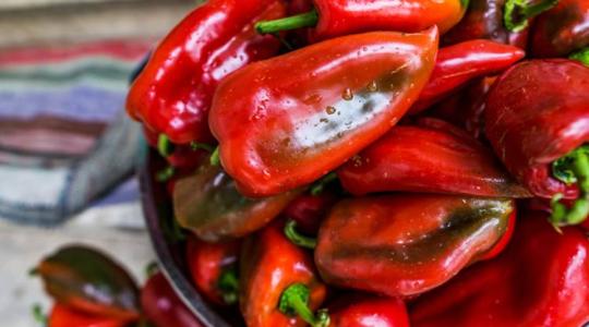 A csodálatos paprika: elképesztő, mennyi tápanyag rejlik ebben a zöldségben