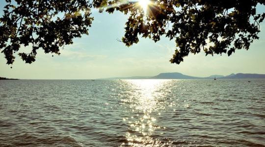 Veszélyben a Balaton élővilága – gyógyszerek, vegyszerek maradványai vannak a vízben