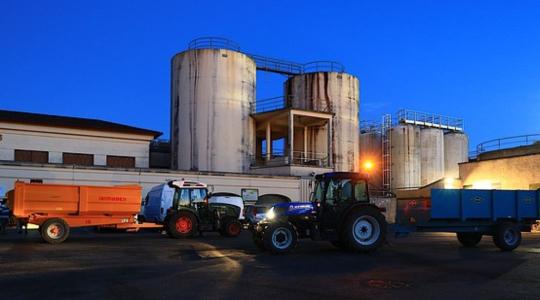 A szociális farmok és szociális szövetkezetek jelentősége