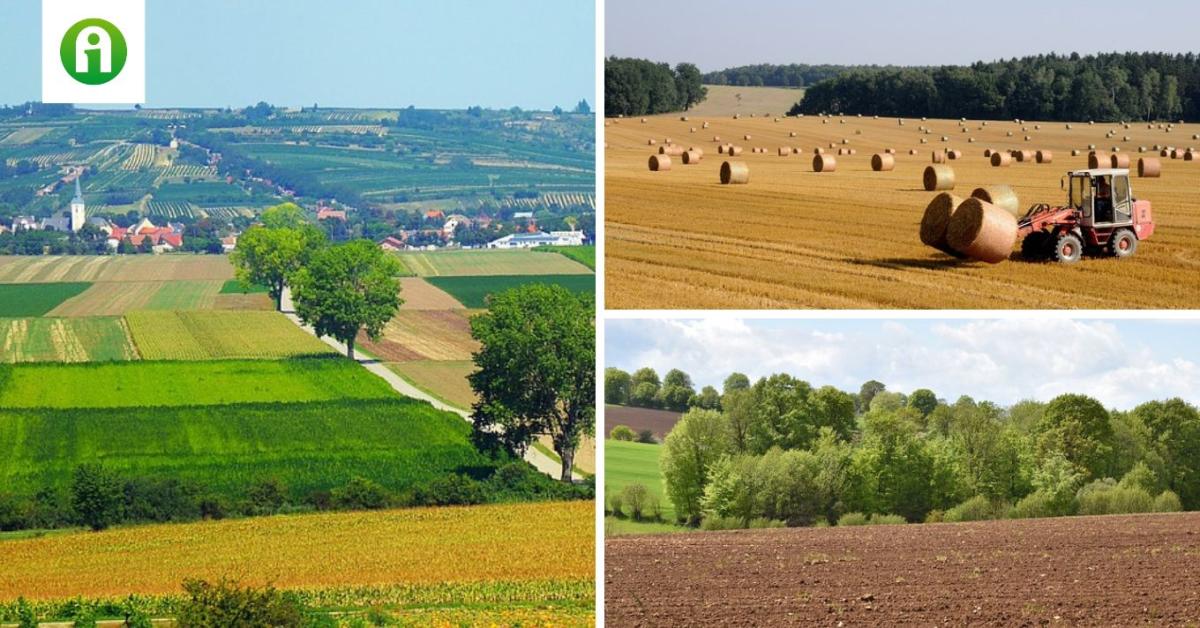 Mit kell tudni a termőföld öröklésének szabályairól?