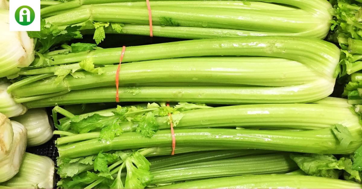 Erről a nem túl népszerű zöldségről kevesen tudják, hogy mennyire egészséges