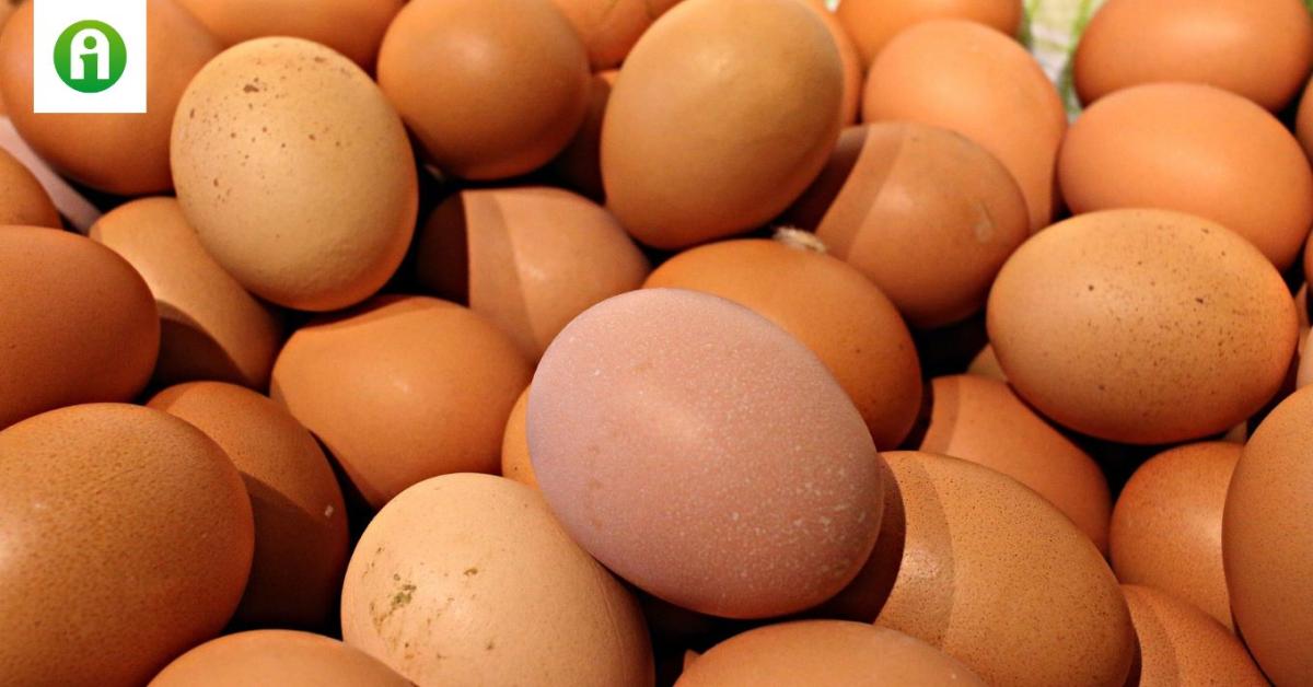 Hihetetlen! Még mindig zuhanórepülésben a tojás ára Hihetetlen! Még mindig zuhanórepülésben a tojás ára