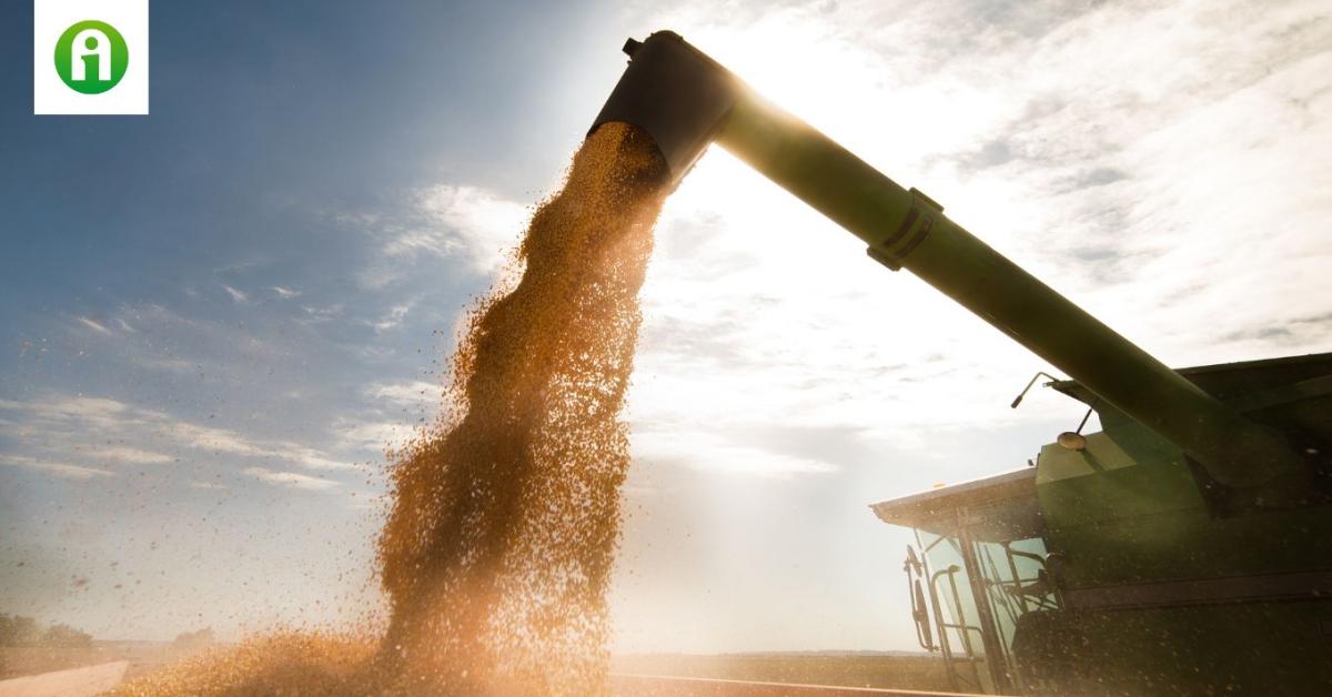 Az Agrárminisztérium közzétette a hivatalos termésátlagokat. Mutatjuk! Az Agrárminisztérium közzétette a hivatalos termésátlagokat. Mutatjuk!