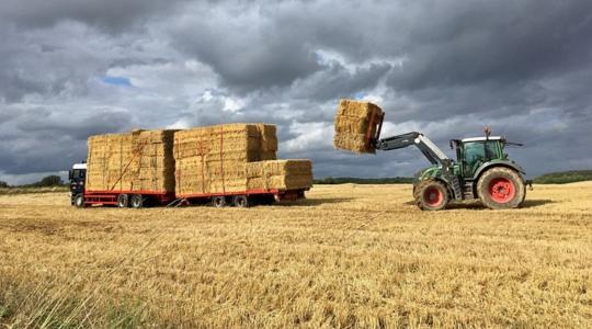 3 napos időjárás-előrejelzés: napos idő, felhőszakadásokkal tarkítva