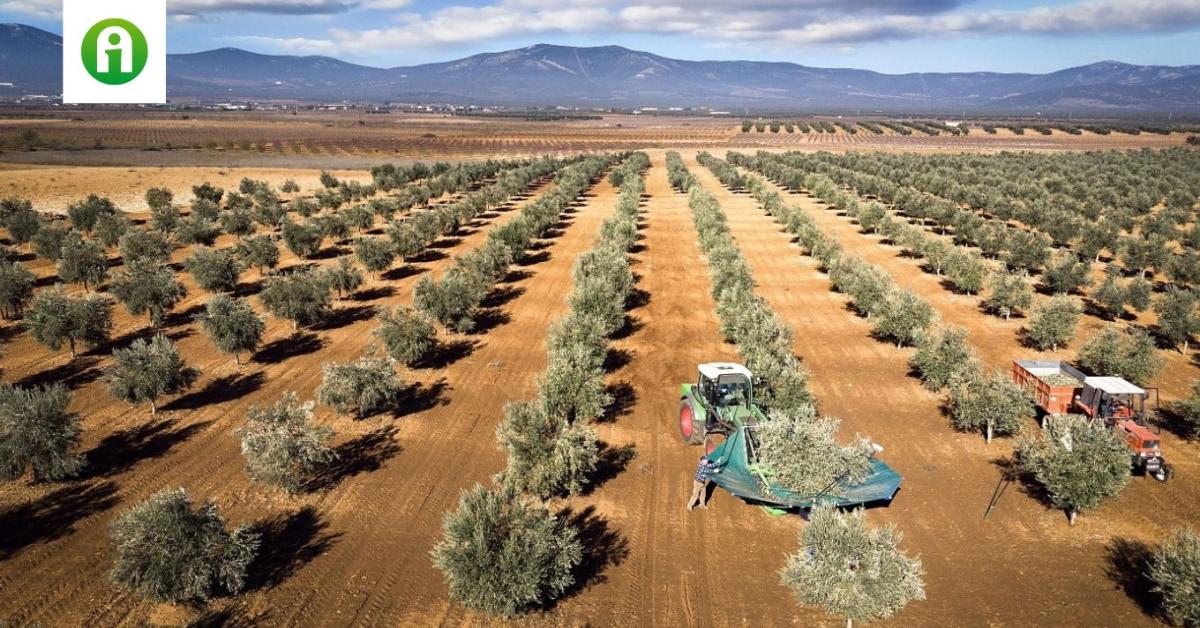 Az agrárdigitalizáció már nem lehetőség, hanem létkérdés Az agrárdigitalizáció már nem lehetőség, hanem létkérdés