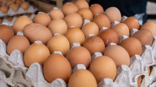 Nincs megállás? Őrült zuhanásban a tojás ára