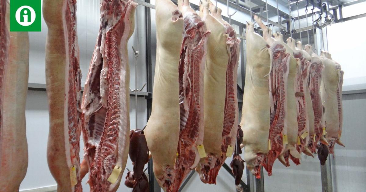 Nem koncentrálhatunk csak önellátásra, annak éhezés lenne a vége Nem koncentrálhatunk csak önellátásra, annak éhezés lenne a vége