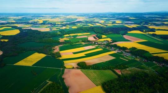 Génmódosított élelmiszerek, kártevőhelyzet, megtérülő megoldások