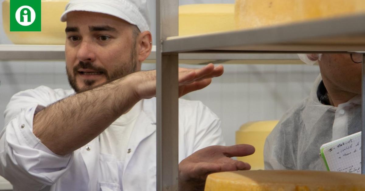 Érlelt sajtkészítés, mint befektetés? Nem ördögtől való gondolat Érlelt sajtkészítés, mint befektetés? Nem ördögtől való gondolat