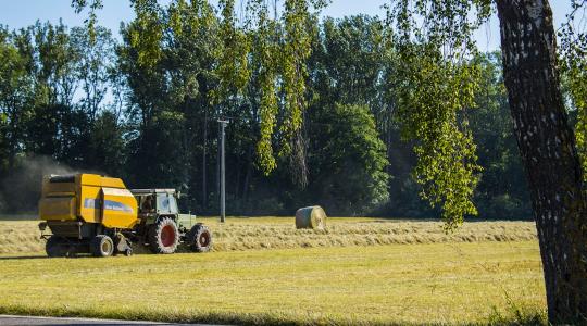 7 napos időjárás-előrejelzés: mérséklődik a hőség, de nem sokáig