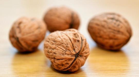 Kedvezőek a kilátások: lesz piaca a magyar diónak