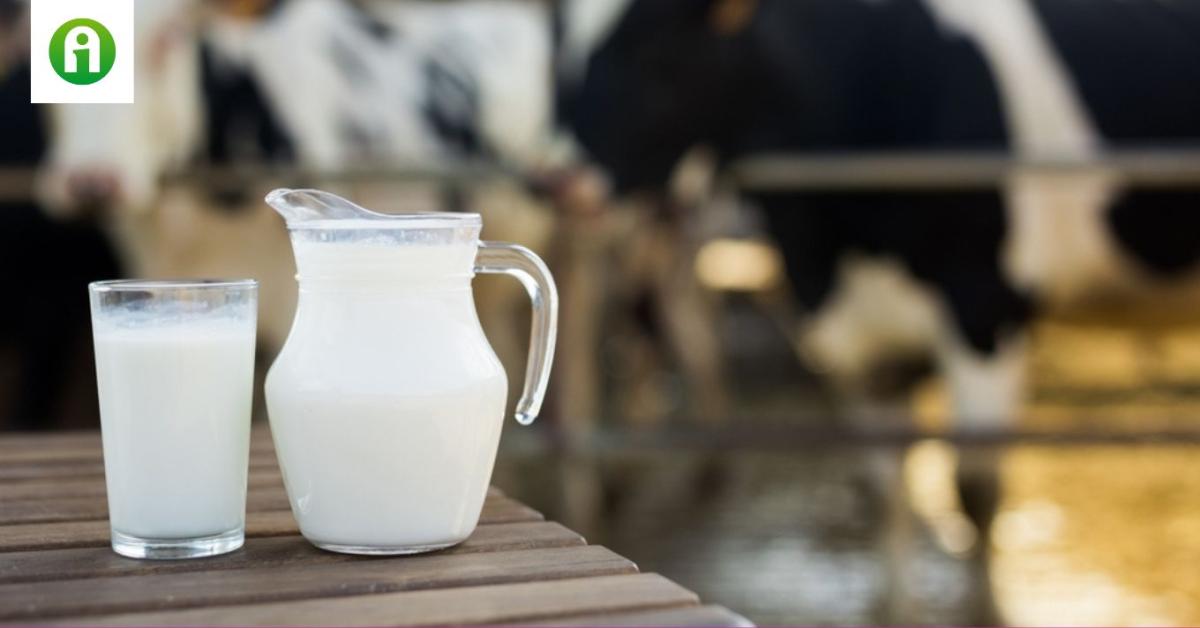 Elkészült a klímabarát tej, ennyivel kerül többe, mint a normál 