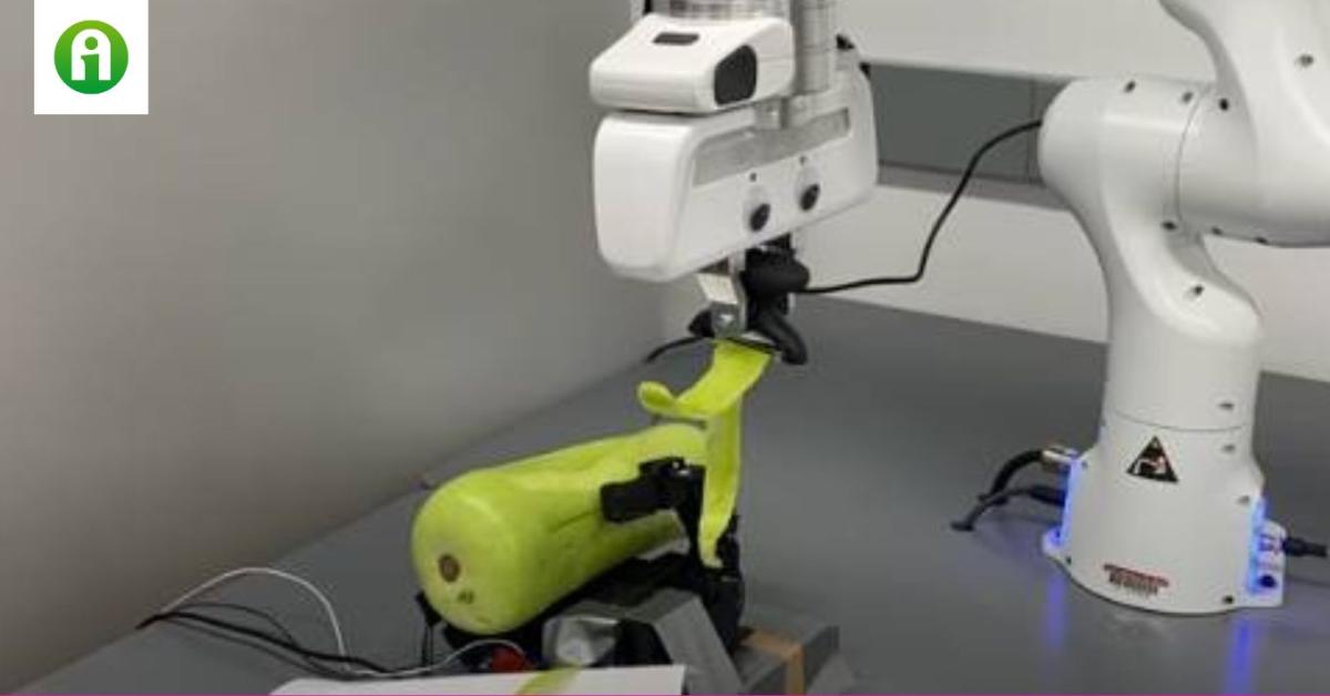 A jövő séfjei már itt vannak: az új robot zöldséget pucolni is tud +VIDEÓ