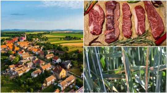 Nehéz évek várnak a mezőgazdaságra?